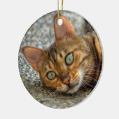 Schöne Bengalische Katze Keramikornament (Links)