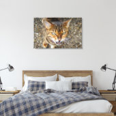 Schöne Bengalische Katze Leinwanddruck (Insitu (Schlafzimmer))