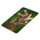 Schöne Bengalische Katze Magnet (Linke Seite)