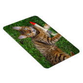 Schöne Bengalische Katze Magnet (Rechte Seite)