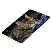 Schöne Bengalische Katze Magnet (Linke Seite)