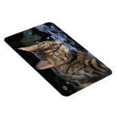 Schöne Bengalische Katze Magnet (Rechte Seite)