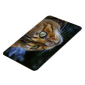 Schöne Bengalische Katze Magnet (Linke Seite)