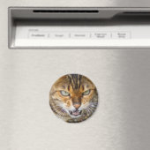 Schöne Bengalische Katze Magnet (In Situ (Geschirrspüler))