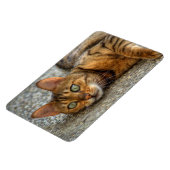 Schöne Bengalische Katze Magnet (Linke Seite)