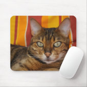 Schöne Bengalische Katze Mousepad (Mit Mouse)