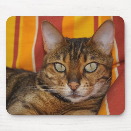 Schöne Bengalische Katze Mousepad (Vorne)