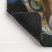 Schöne Bengalische Katze Mousepad (Ecke)