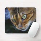 Schöne Bengalische Katze Mousepad (Mit Mouse)