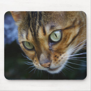Schöne Bengalische Katze Mousepad