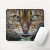 Schöne Bengalische Katze Mousepad (Mit Mouse)