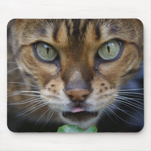 Schöne Bengalische Katze Mousepad (Vorne)