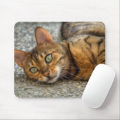 Schöne Bengalische Katze Mousepad (Mit Mouse)