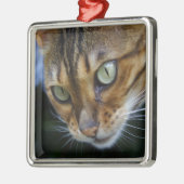 Schöne Bengalische Katze Ornament Aus Metall (Links)