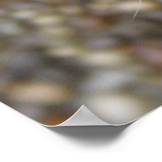 Schöne Bengalische Katze Poster (Ecke)