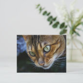Schöne Bengalische Katze Postkarte (Stehend Vorderseite)
