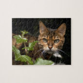 Schöne bengalische Katze Puzzle (Horizontal)