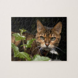 Schöne bengalische Katze Puzzle