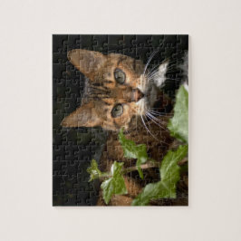 Schöne bengalische Katze Puzzle