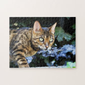 Schöne bengalische Katze Puzzle (Horizontal)