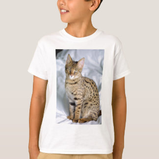 Schöne Bengalische Niedliche Katzenwand T-Shirt