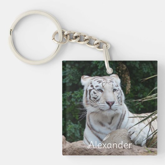 Schöne Bengalische White Tiger Fotografie Schlüsselanhänger (Vorderseite)
