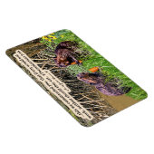 Schöne Biberschrift 2Thessaloniki 3:10 Magnet (Rechte Seite)