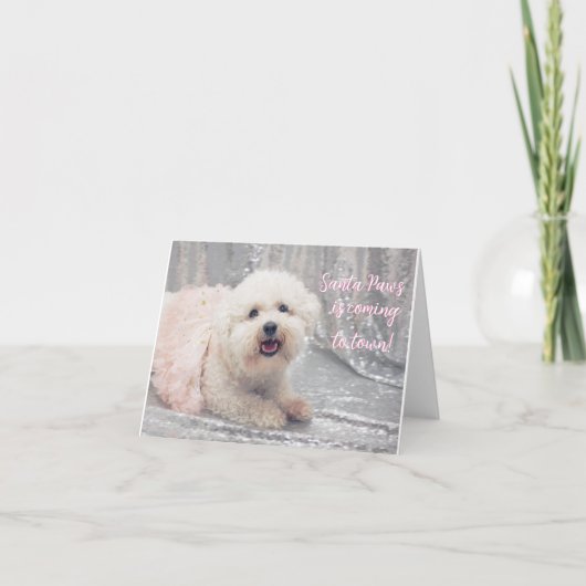 Schöne Bichon Frise Ballerina Weihnachtskarte Feiertagskarte (Vorderseite)