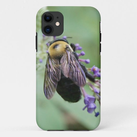 Schöne Biene! Case-Mate iPhone Hülle (Rückseite)
