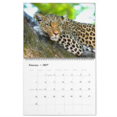 Schöne Big Cats Fotokalender Kalender (Feb 2027)