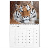 Schöne Big Cats Fotokalender Kalender (Jan 2026)