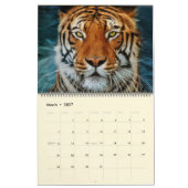 Schöne Big Cats Fotokalender Kalender (Mär 2027)