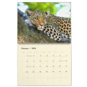 Schöne Big Cats Fotokalender Kalender (Feb 2026)