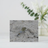 Schöne Big Dragonfly auf der Ground DIY Postkarte (Stehend Vorderseite)