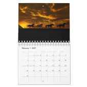 Schöne Bilder der PferdCalendars-2018 der Pferde Kalender (Feb 2027)