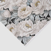 Schöne Bilder von weißem Peony Dark Background Seidenpapier (Ausschnitt)