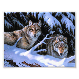 Bilder Der Wolfe Kunst Poster Zazzle De