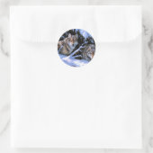 Schöne Bilder von zwei Wölfen Runder Aufkleber (Tasche)