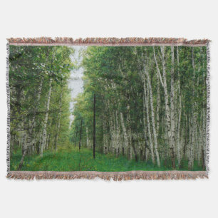 Schöne Birch Tree Wald Kunst Decke