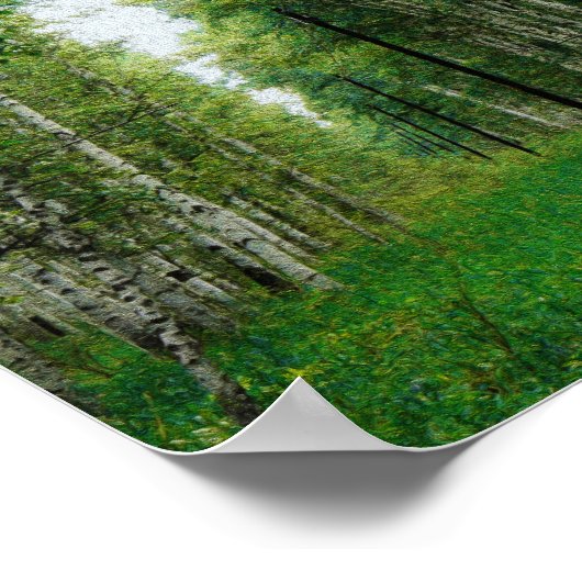 Schöne Birch Tree Wald Kunst Poster (Ecke)