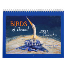 Schöne "BIRDS of Brazil" 2021 Kalender