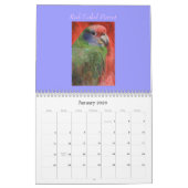 Schöne "BIRDS of Brazil" 2021 Kalender (Jan 2026)