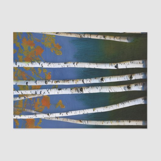 Schöne Birke im Herbst Seidenpapier (Vorderseite)