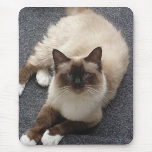 Schöne Birman Katze Mousepad (Vorne)