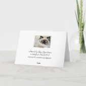 Schöne Birman Ragdoll Katze-Liebhaber Feiertagskarte (Rückseite)