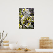 Schöne Birne Tree Blossom Blumengarten Poster (Küche)