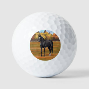 Schöne Black Quarter Reitstall Golf Balls Golfball