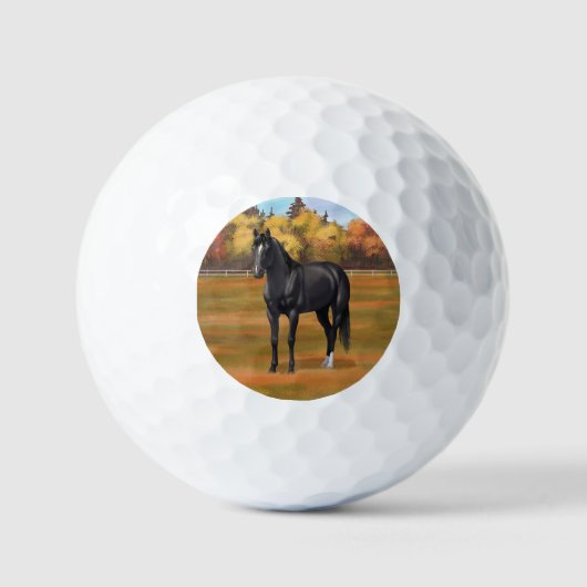 Schöne Black Quarter Reitstall Golf Balls Golfball (Vorderseite)