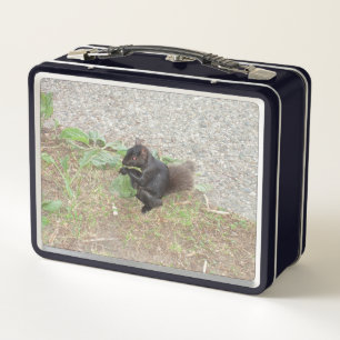 Schöne Black Squirrel Metal Lunch Box
