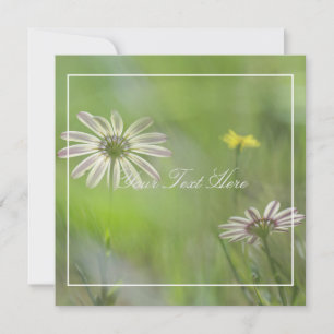 Schöne, blassviolette Blüten - Ihre Text-Flachkart